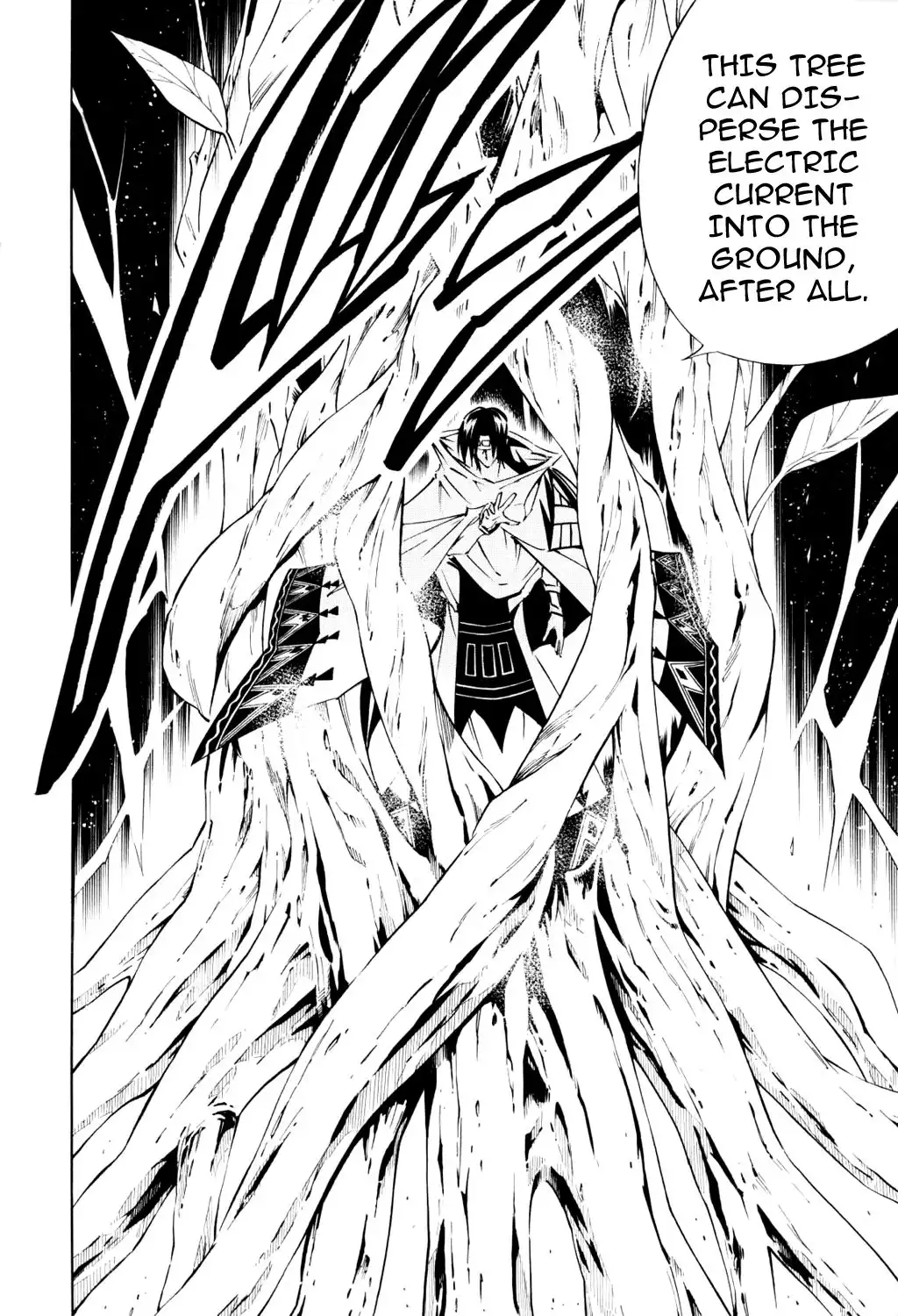 Shaman King Chapter 292 13